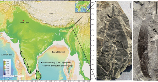 24-million-year-old secret